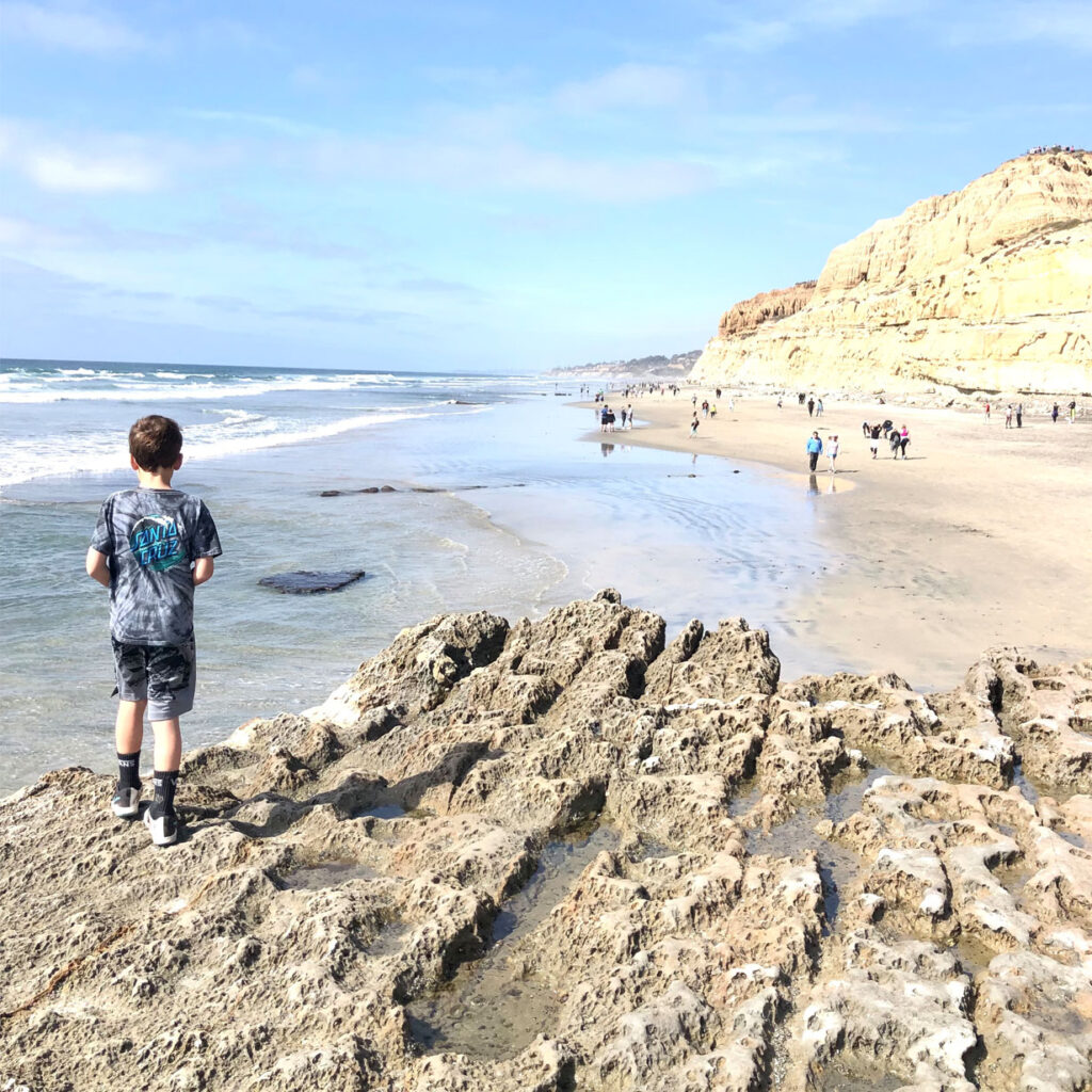 exploring tide pools at torrey pines beach