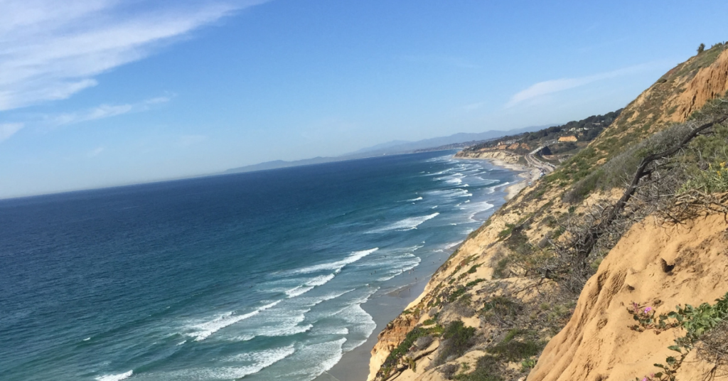 view from torrey pines bluff