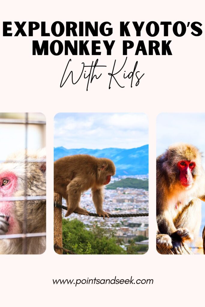 Exploring kyoto's monkey park with kids