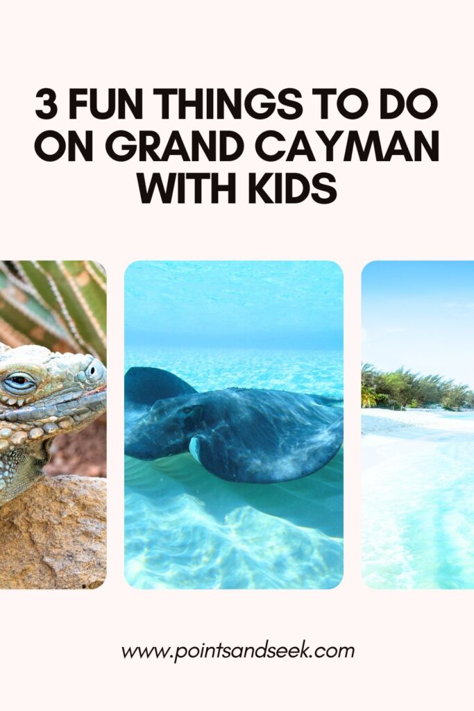 3 fun things to do on grand cayman with kids