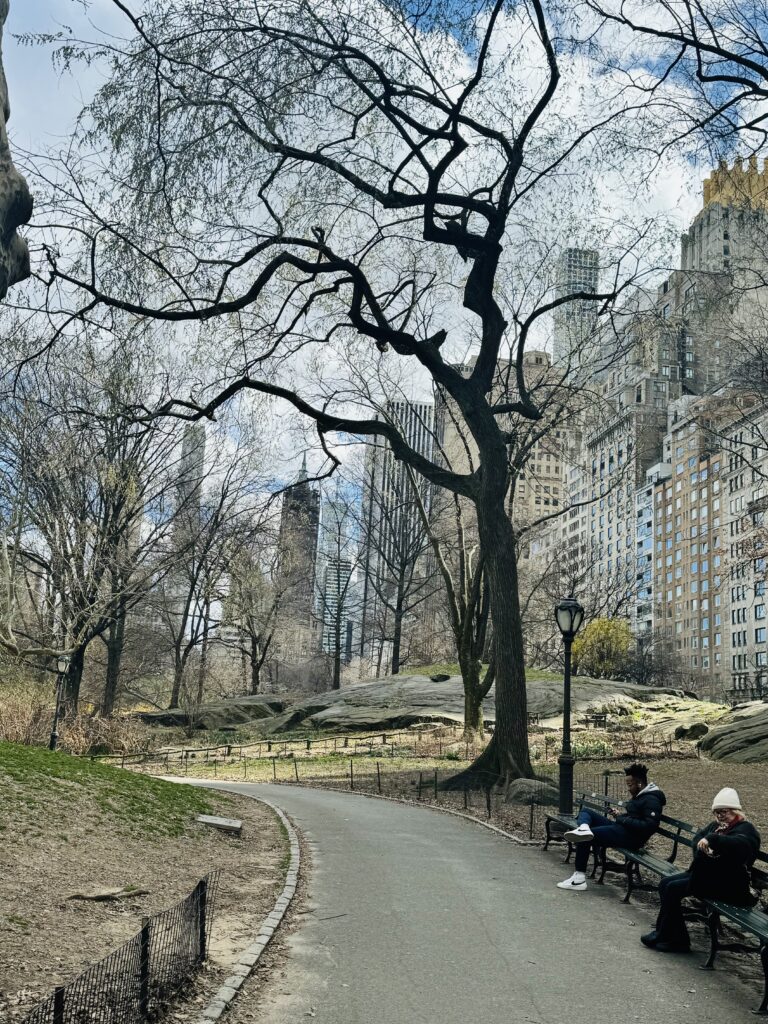 Central Park NYC 