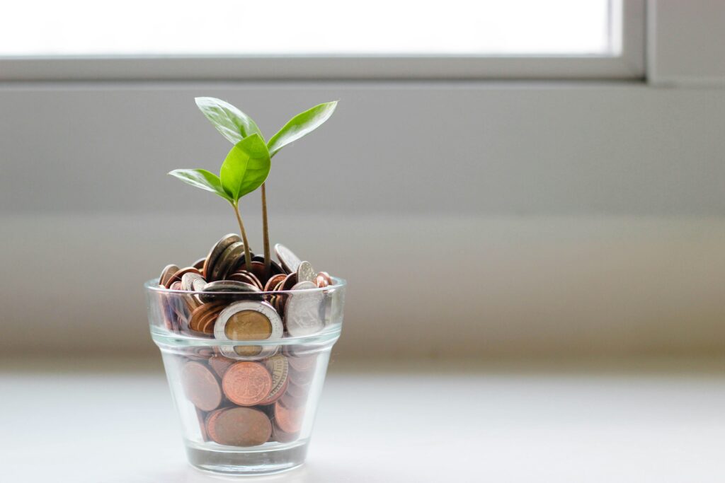 small plant growing out of a pot of coins 